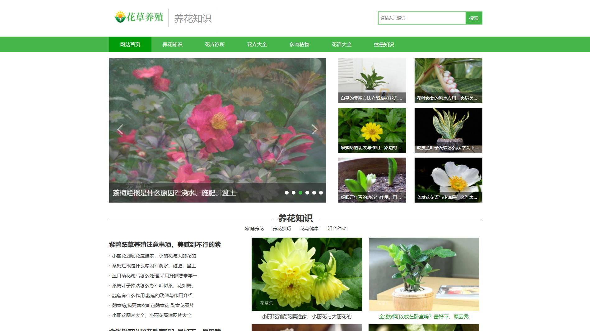 营销引流网站建设案例模板【某花卉养殖公司】